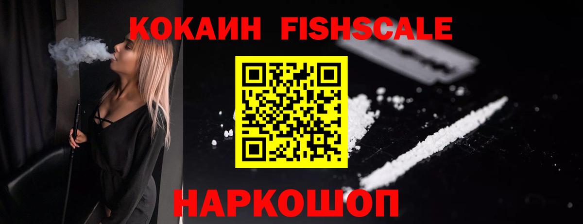 Cocaine Fish Scale  Вход с VPN  Заводоуковск  COCAIN Fish Scale 